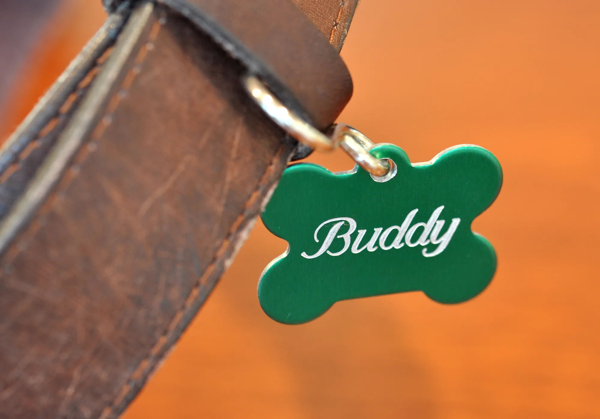 Placa para mascota en aluminio anodizado grabada con láser
